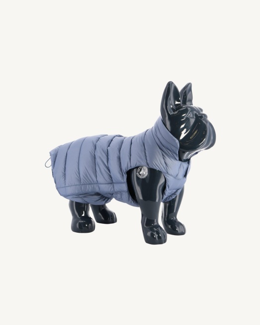 Blauwe Delave Honden Donsjack Woop Jott