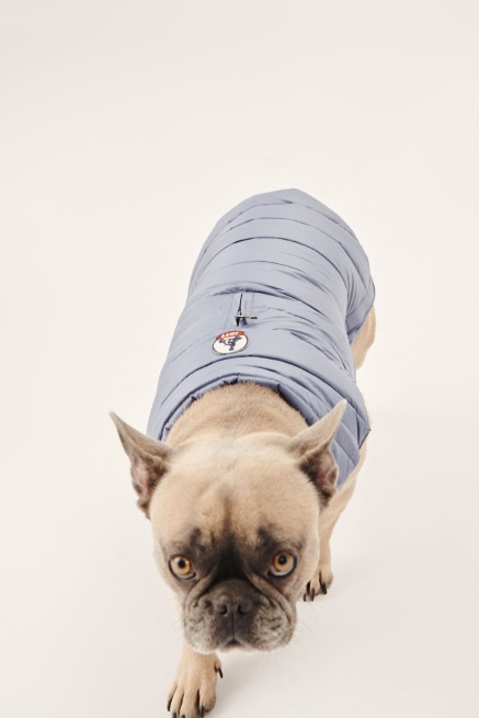 Blauwe Delave Honden Donsjack Woop Jott