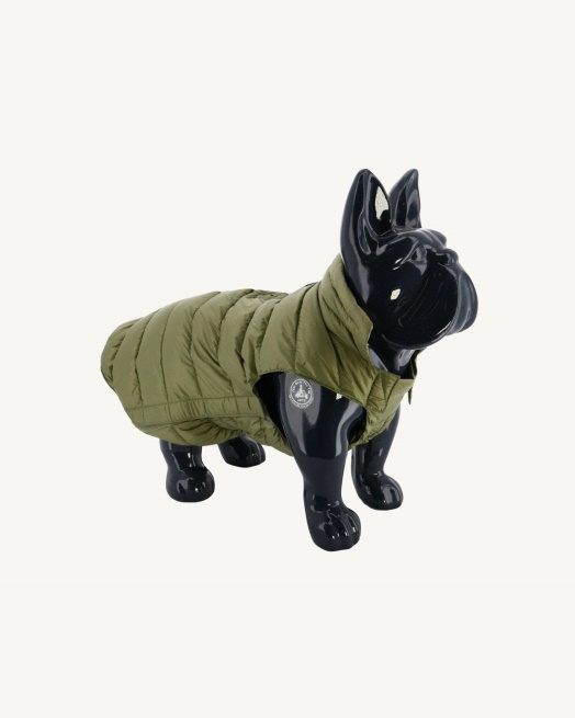 Bush Dogs Donsjack Woop Jott