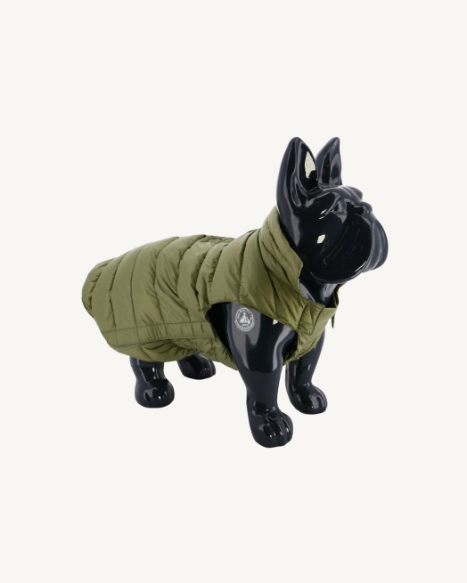 Bush Dogs Donsjack Woop Jott