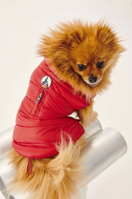 Jott Rouge Dogs Donsjack Woop