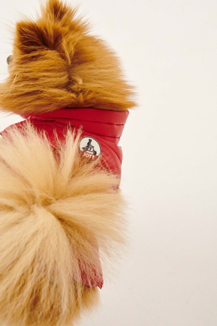 Jott Rouge Dogs Donsjack Woop