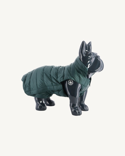 Jott Vert Fonce Honden Donsjack Woop